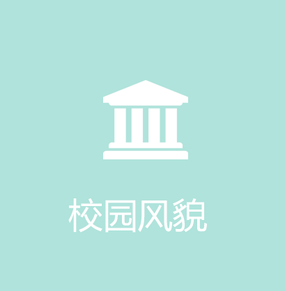 开云电子app